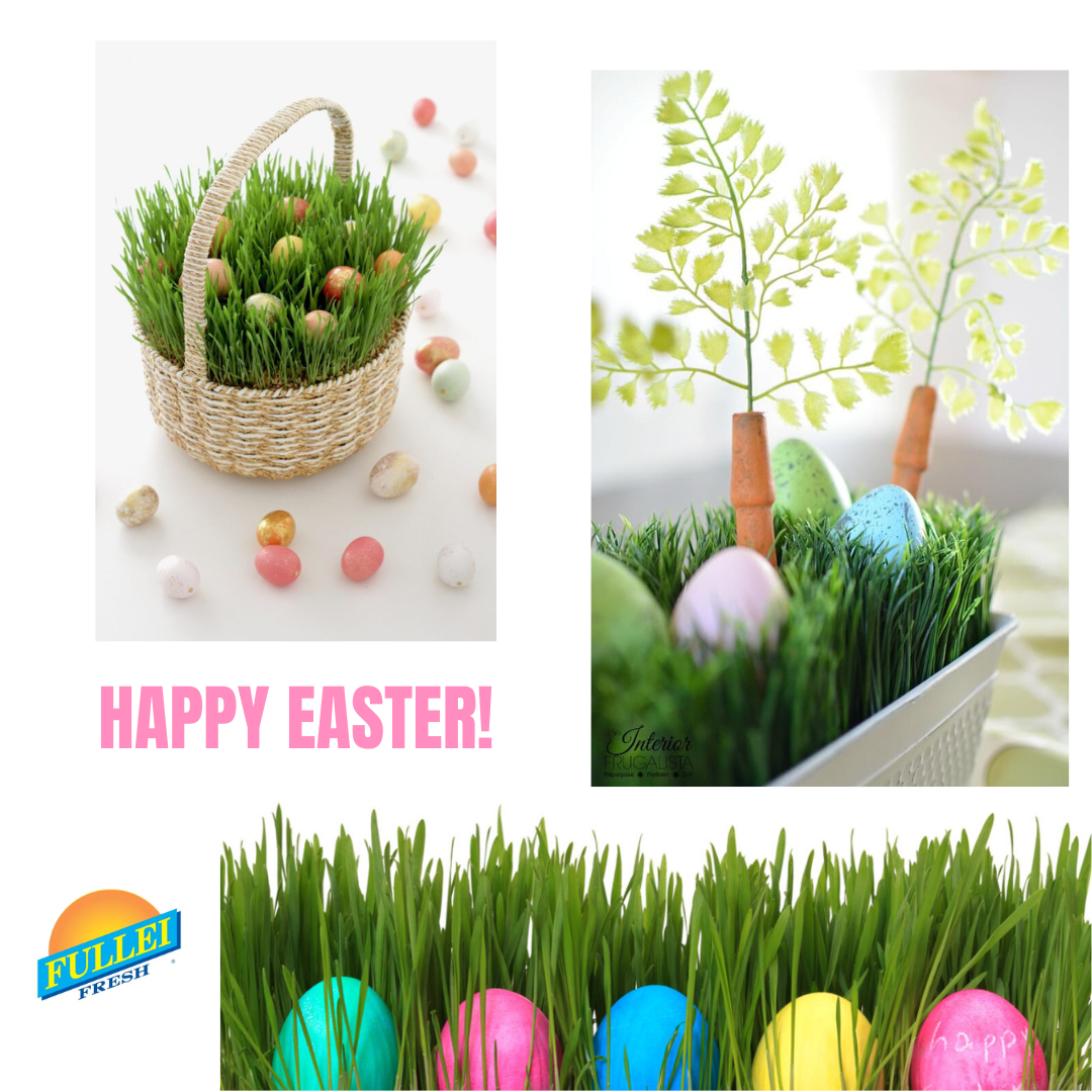 Use Wheatgrass for Easter Decorating